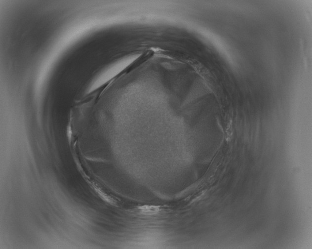 X0000082760052200702162036