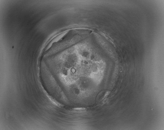 X0000082760053200702162036