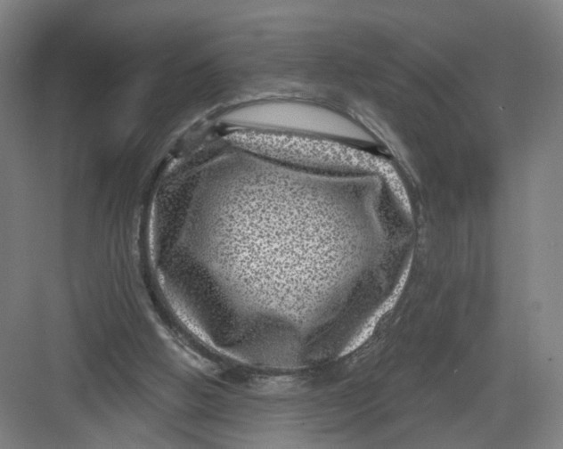 X0000082760058200702162036