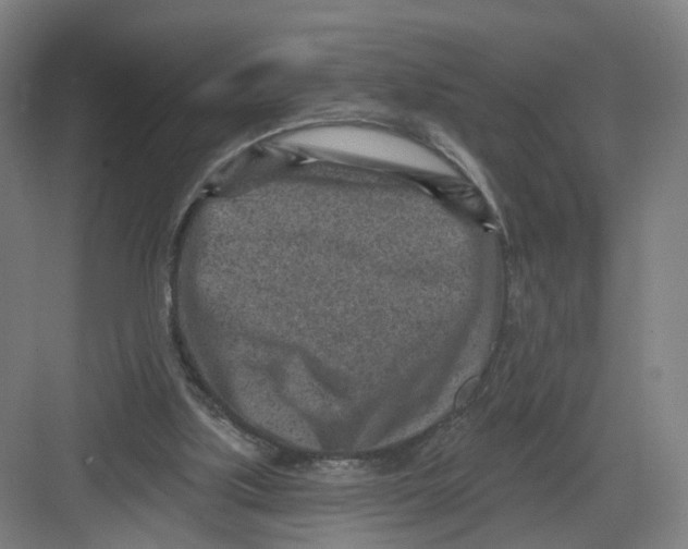 X0000082760059200702162036