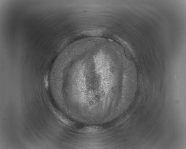 X0000082760069200702162036