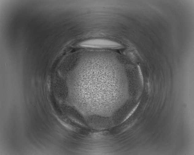 X0000082760072200702162036