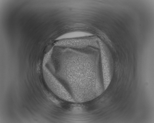 X0000082760073200702162036