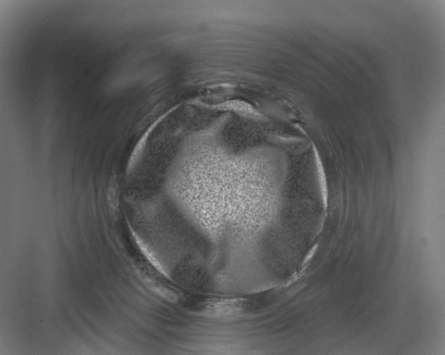 X0000082760078200702162036