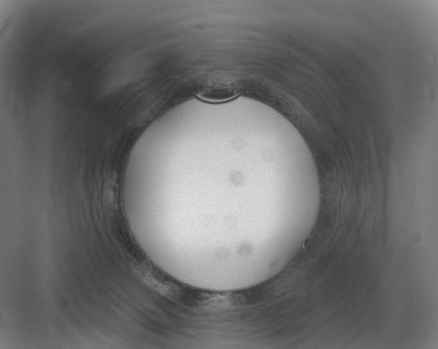 X0000082760083200702162036