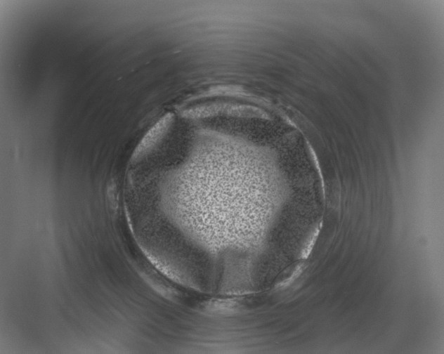 X0000082760086200702162036