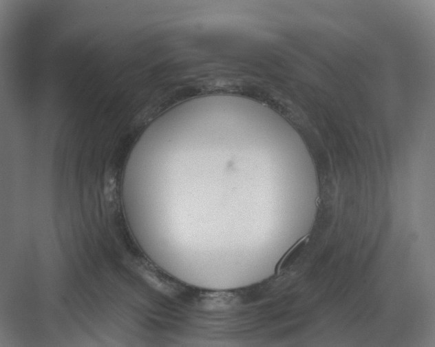 X0000082760087200702162036