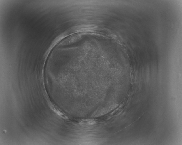 X0000082760099200702162036