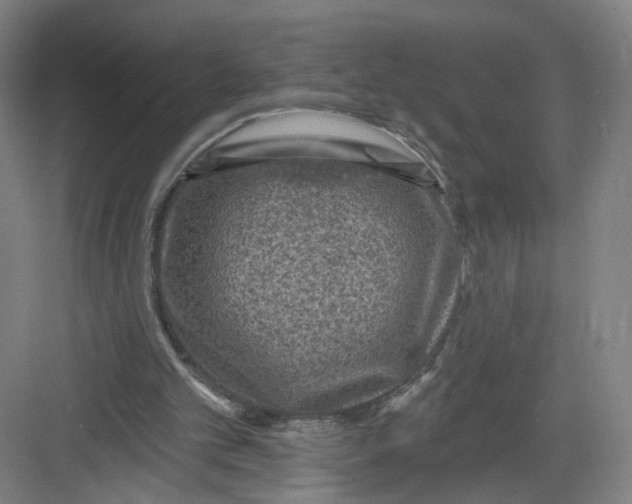 X0000082760101200702162036