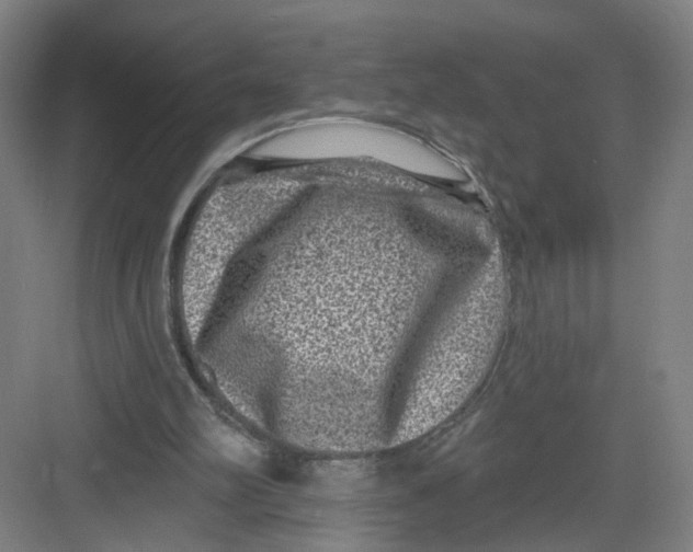 X0000082760102200702162035