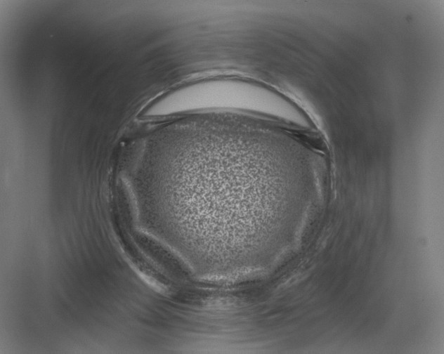 X0000082760105200702162035