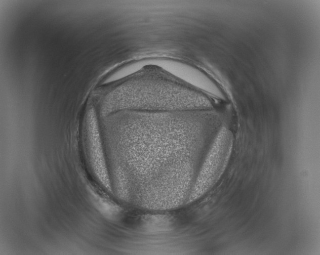 X0000082760107200702162035