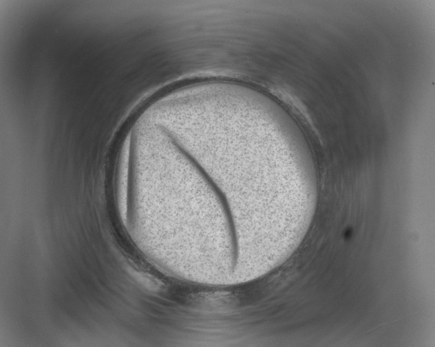 X0000082760108200702162035