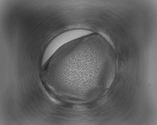 X0000082760109200702162035