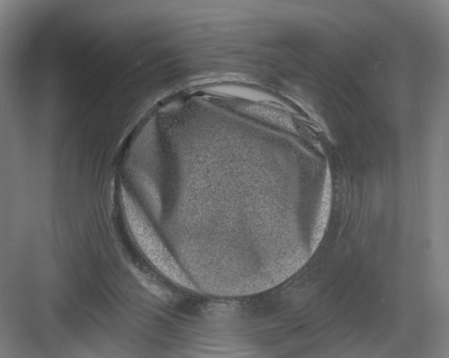 X0000082760110200702162035