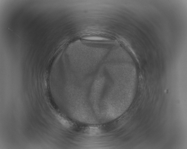 X0000082760114200702162035