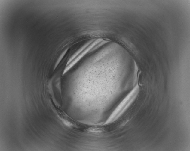 X0000082760117200702162035