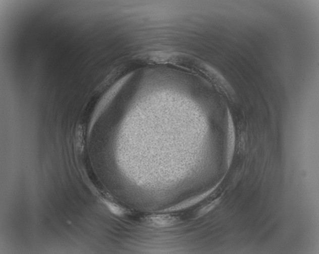 X0000082760121200702162035