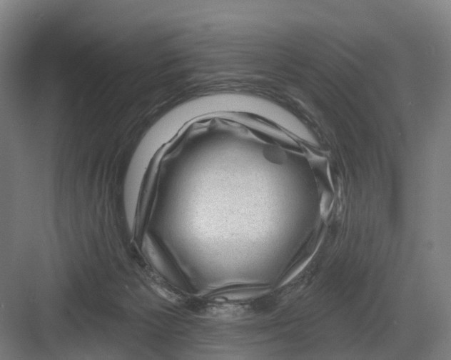 X0000082760125200702162035