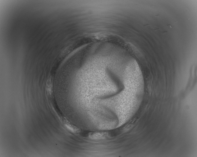 X0000082760129200702162035