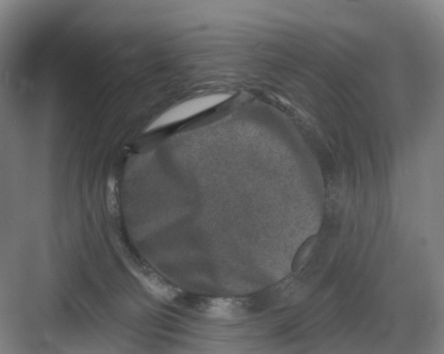 X0000082760130200702162035