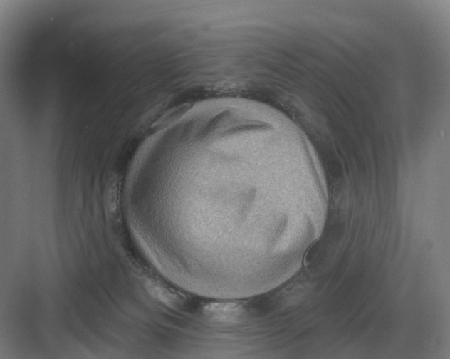 X0000082760133200702162035