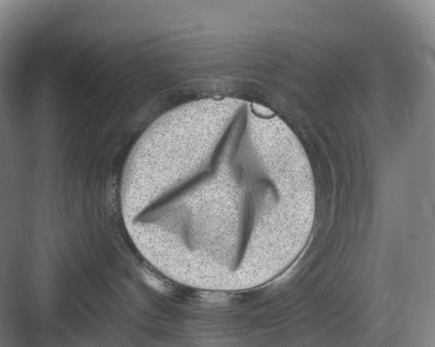 X0000082760144200702162035