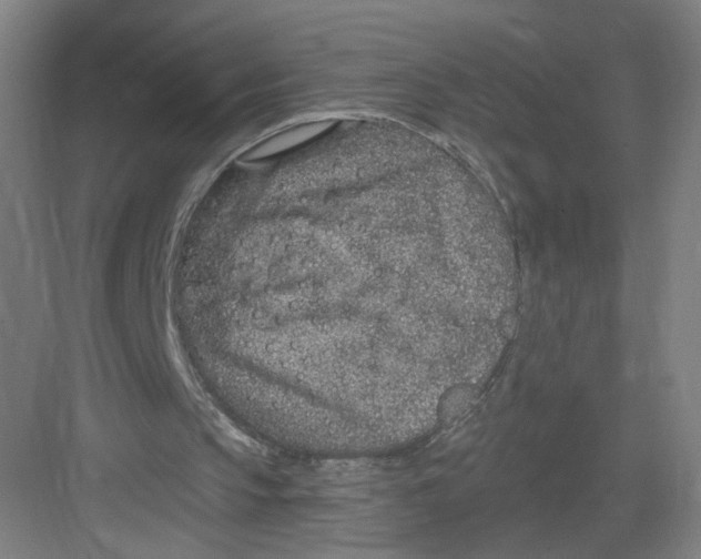 X0000082760145200702162034