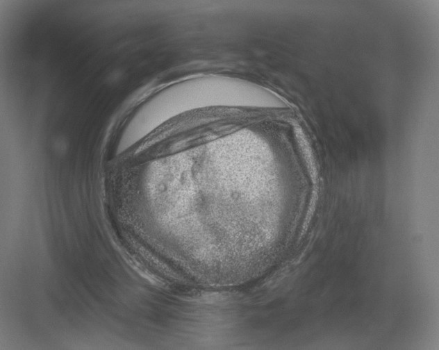 X0000082760149200702162034