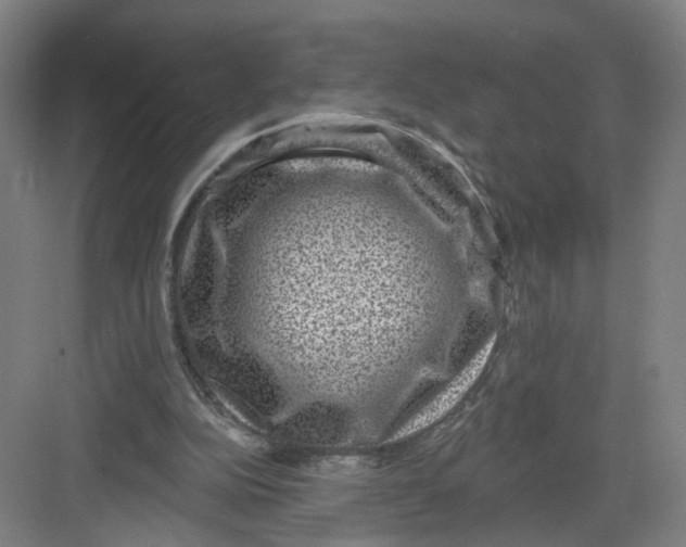 X0000082760152200702162034