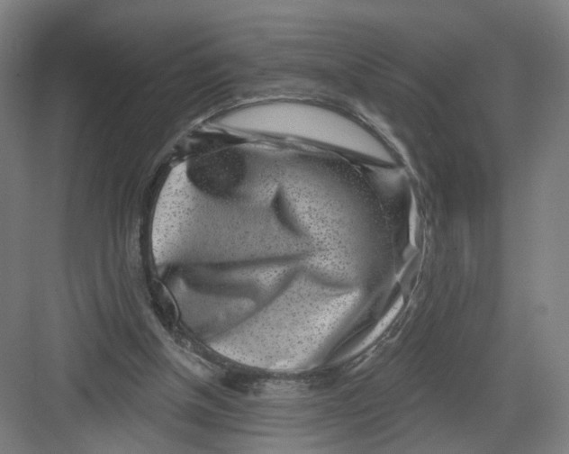 X0000082760154200702162034