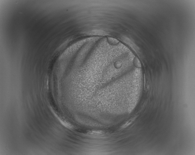 X0000082760157200702162034