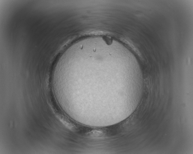 X0000082760159200702162034