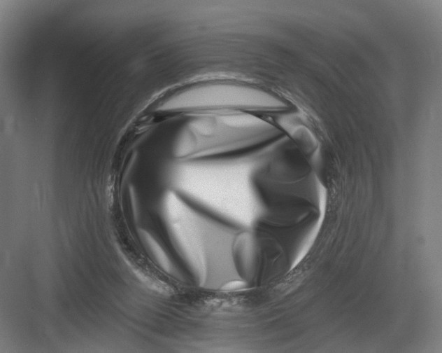 X0000082760160200702162034