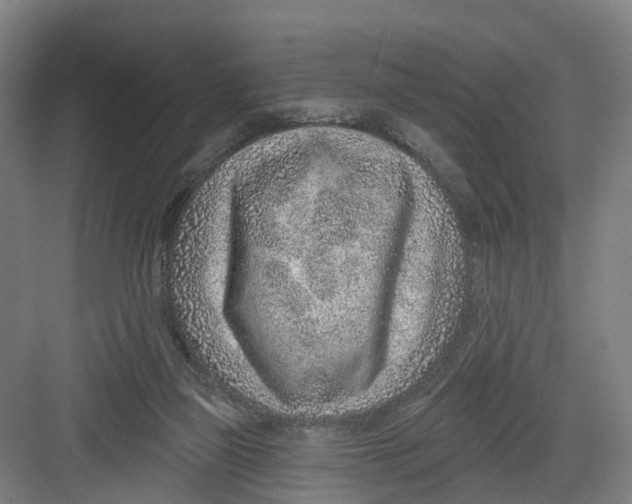 X0000082760165200702162034