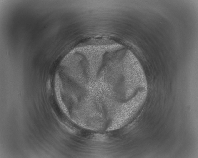 X0000082760166200702162034