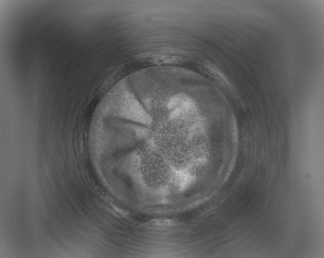 X0000082760169200702162034