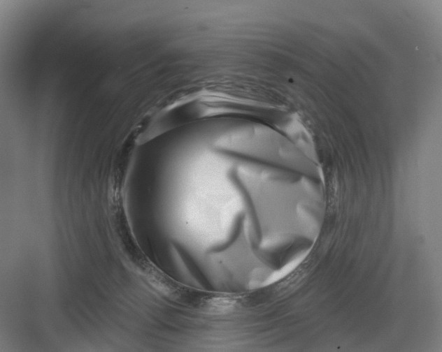 X0000082760176200702162035