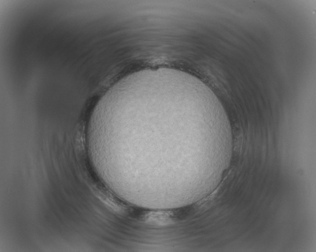 X0000082760179200702162035