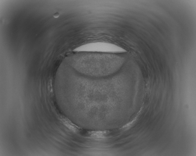 X0000082760182200702162035