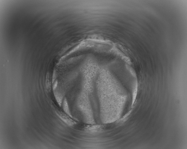 X0000082760186200702162035