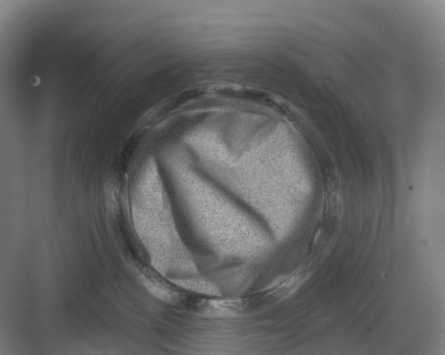 X0000082760188200702162035