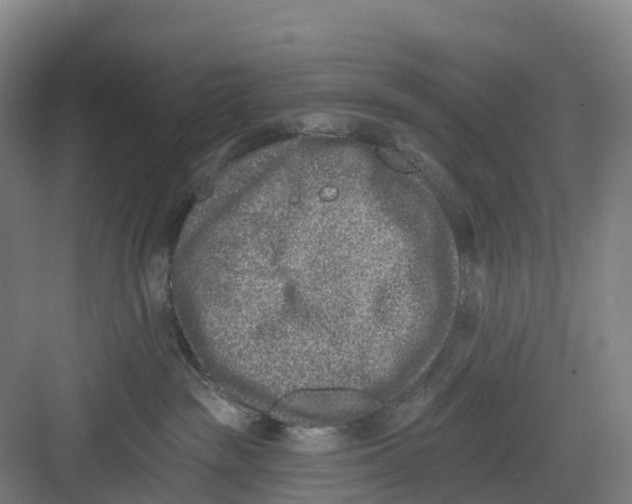 X0000082760189200702162035