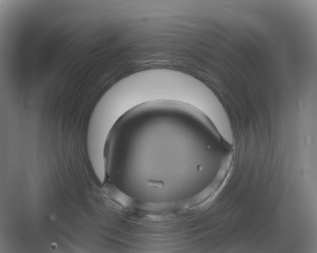 X0000082760190200702162035