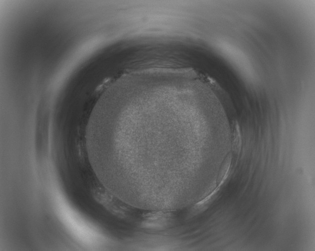 X0000082760191200702162035