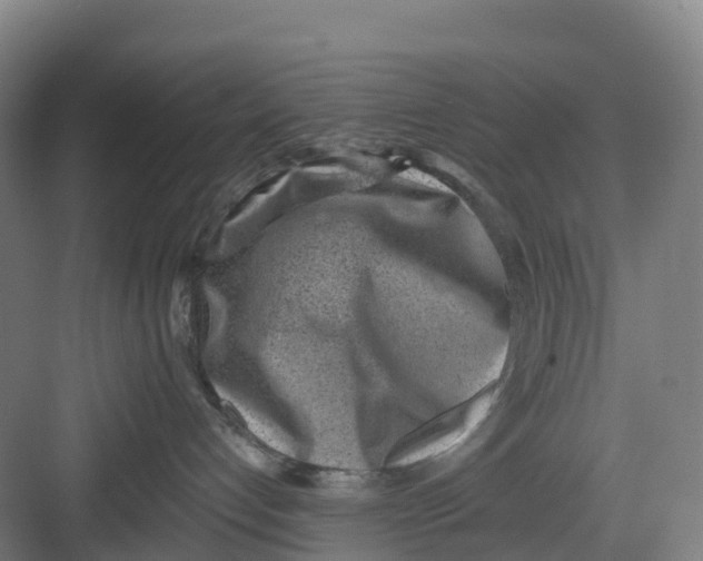 X0000082760192200702162035