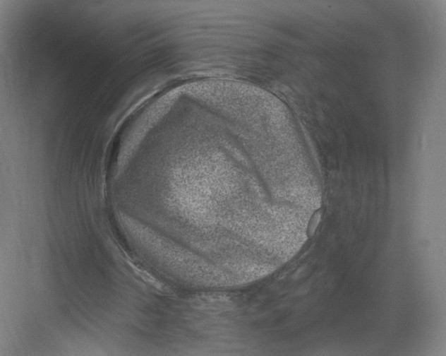 X0000082760194200702162034