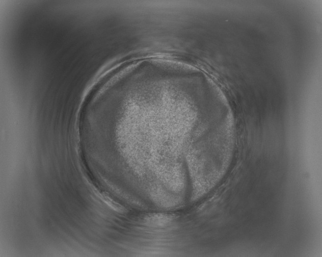 X0000082760198200702162034