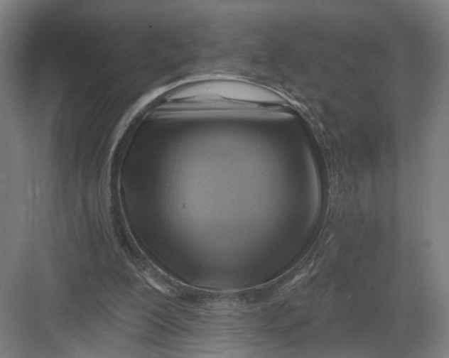 X0000082760200200702162034