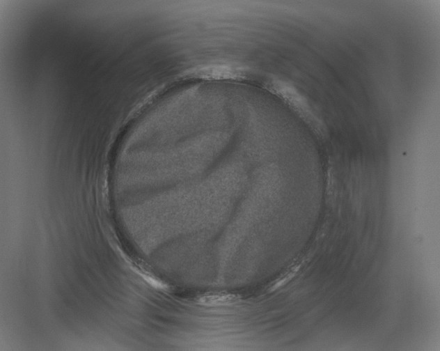 X0000082760202200702162034